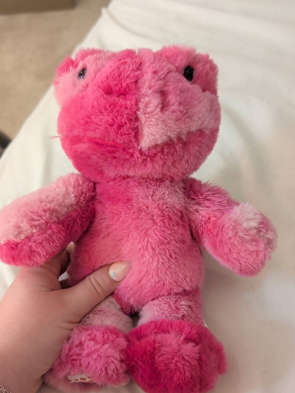 Build A Bear Bear Buddy Valentine Frog